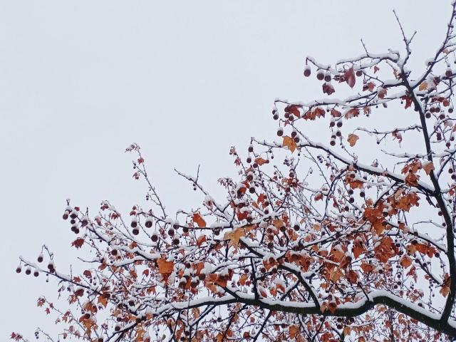 suncitygroup太阳集团