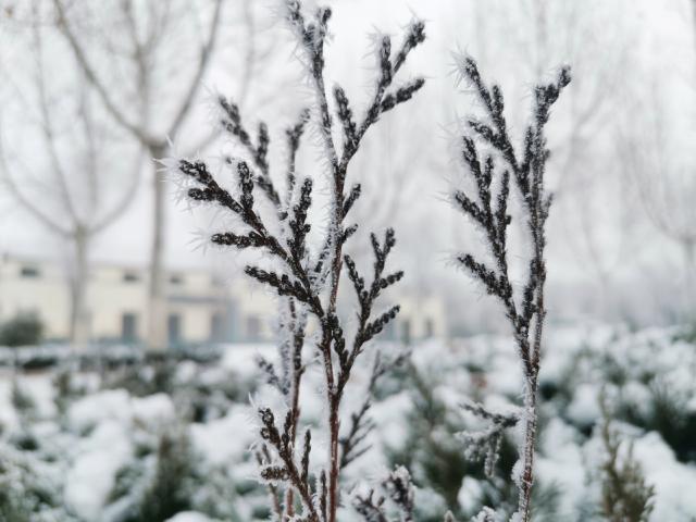 suncitygroup太阳集团