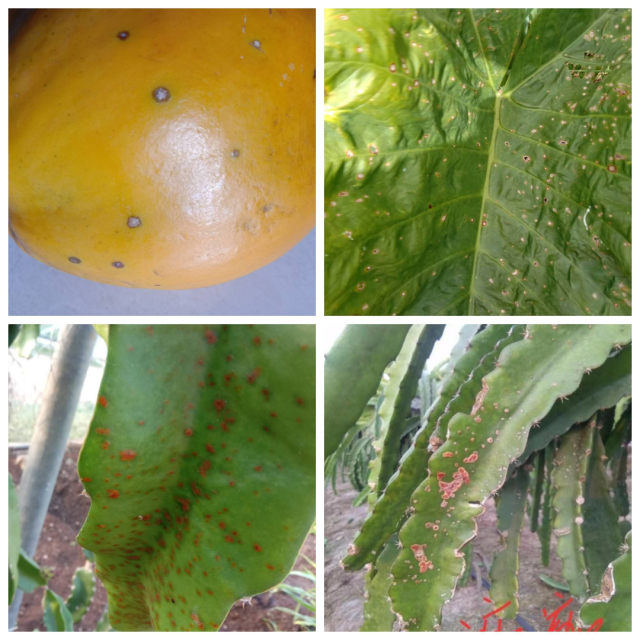 suncitygroup太阳集团