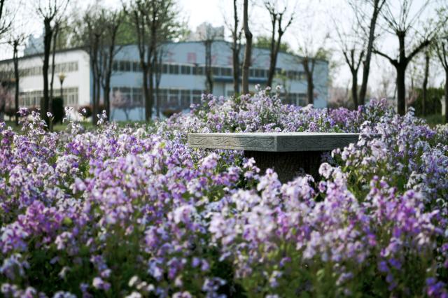 suncitygroup太阳集团