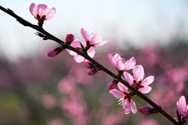 suncitygroup太阳集团