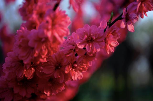 suncitygroup太阳集团