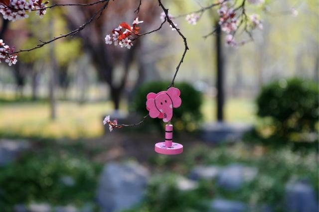 suncitygroup太阳集团