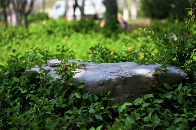 suncitygroup太阳集团