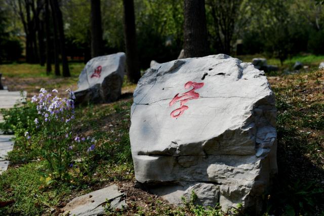 suncitygroup太阳集团