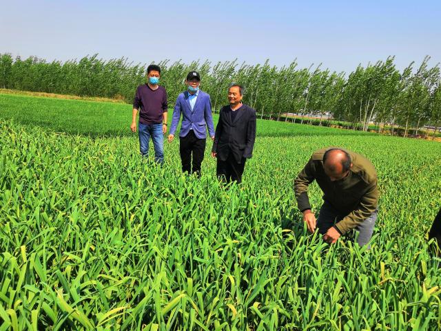 suncitygroup太阳集团