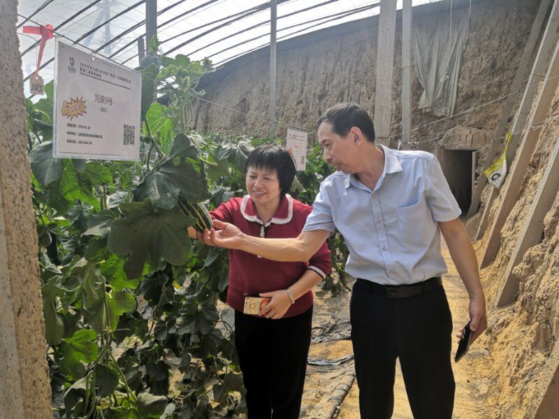 suncitygroup太阳集团