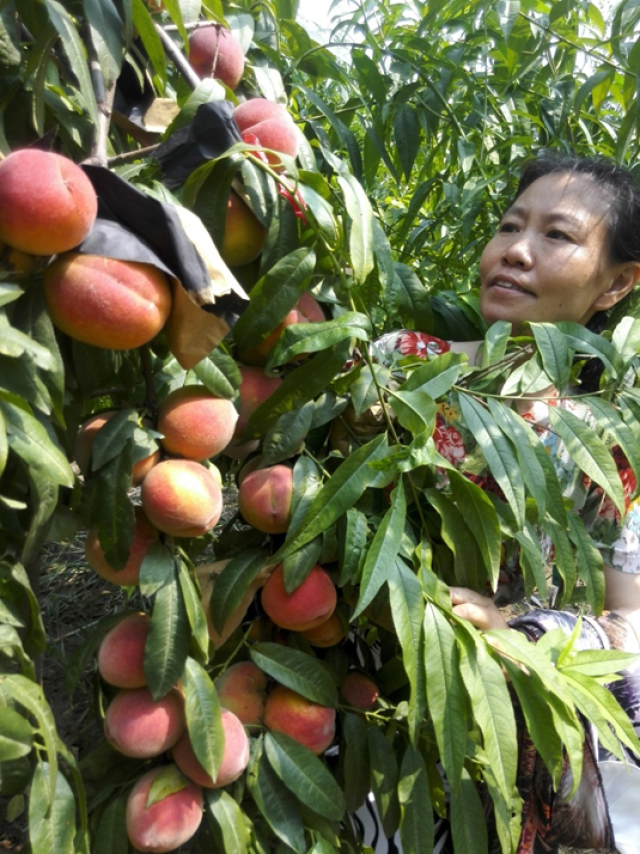 suncitygroup太阳集团