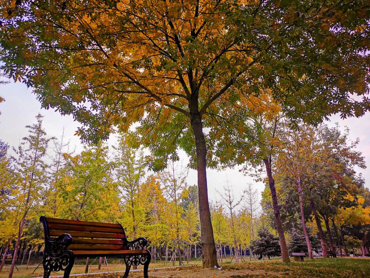 suncitygroup太阳集团