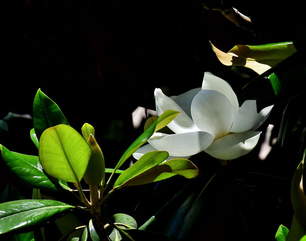 suncitygroup太阳集团