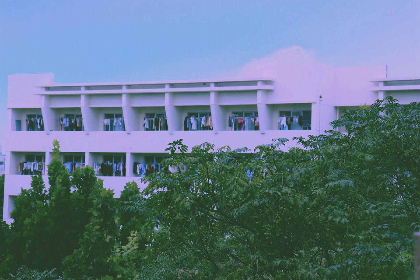 suncitygroup太阳集团