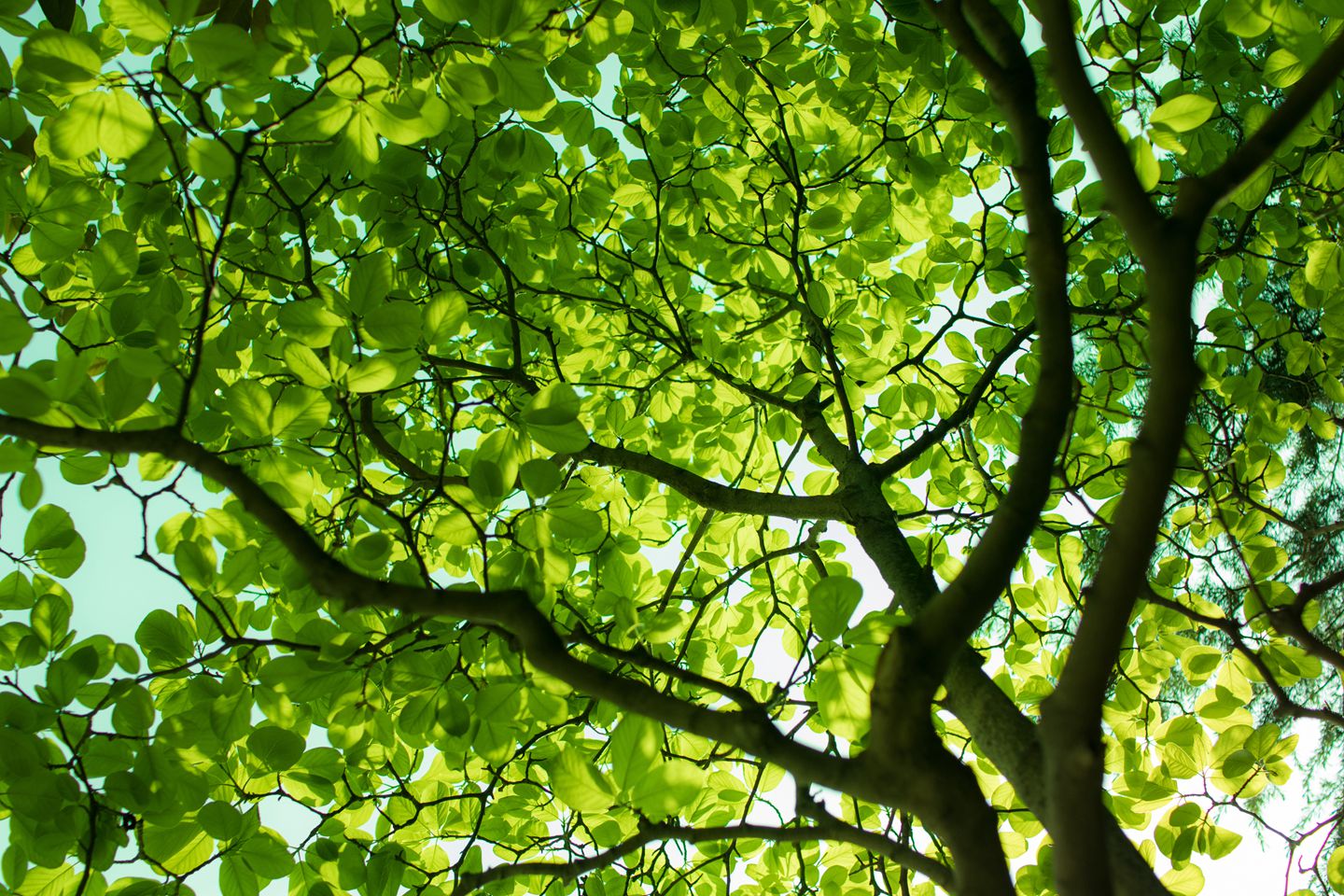 suncitygroup太阳集团