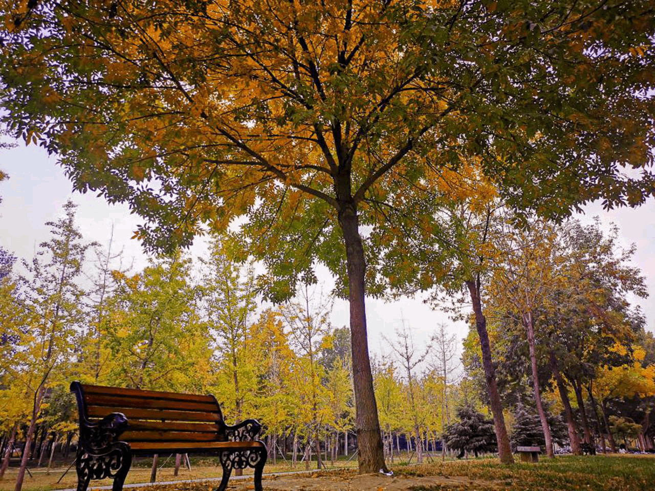 suncitygroup太阳集团