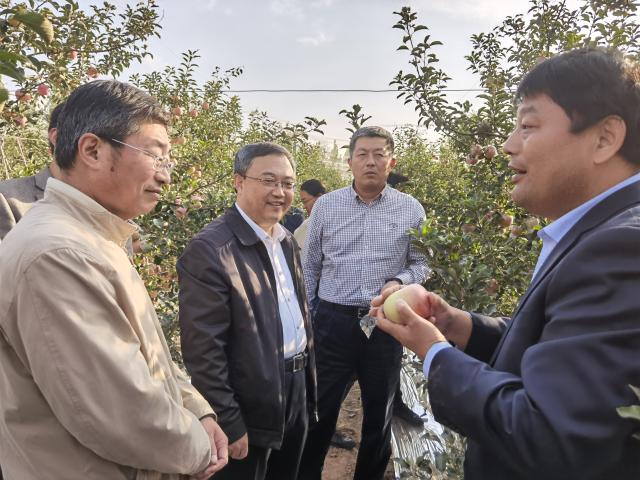 suncitygroup太阳集团