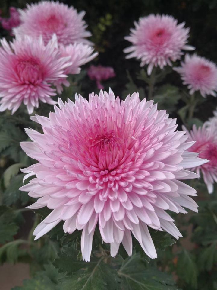 suncitygroup太阳集团