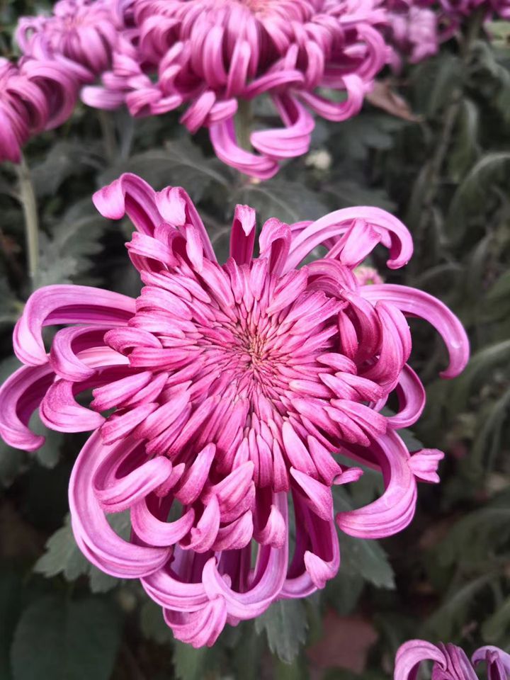 suncitygroup太阳集团