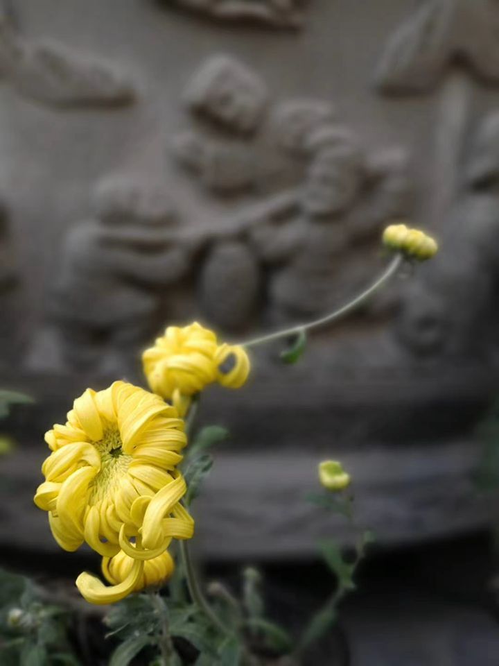 suncitygroup太阳集团