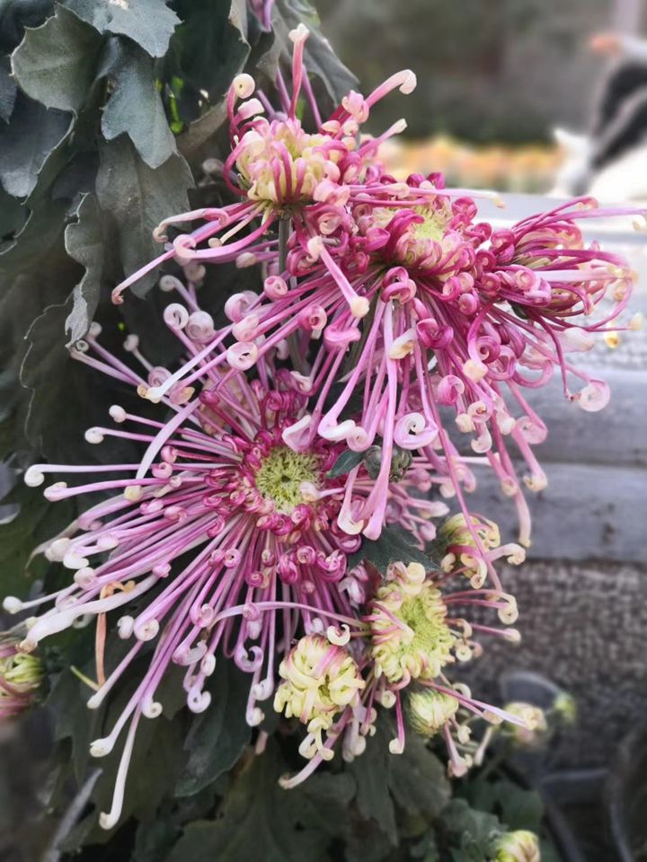 suncitygroup太阳集团