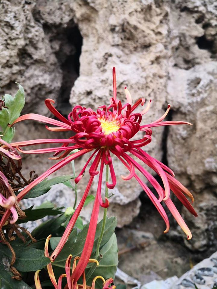 suncitygroup太阳集团