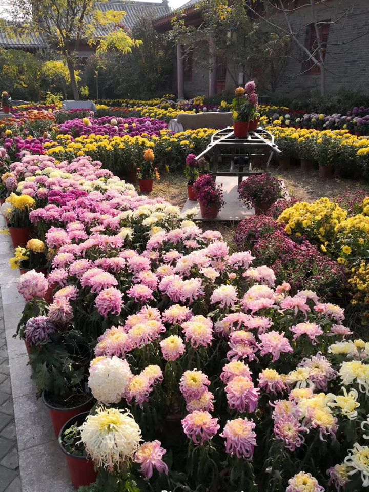 suncitygroup太阳集团