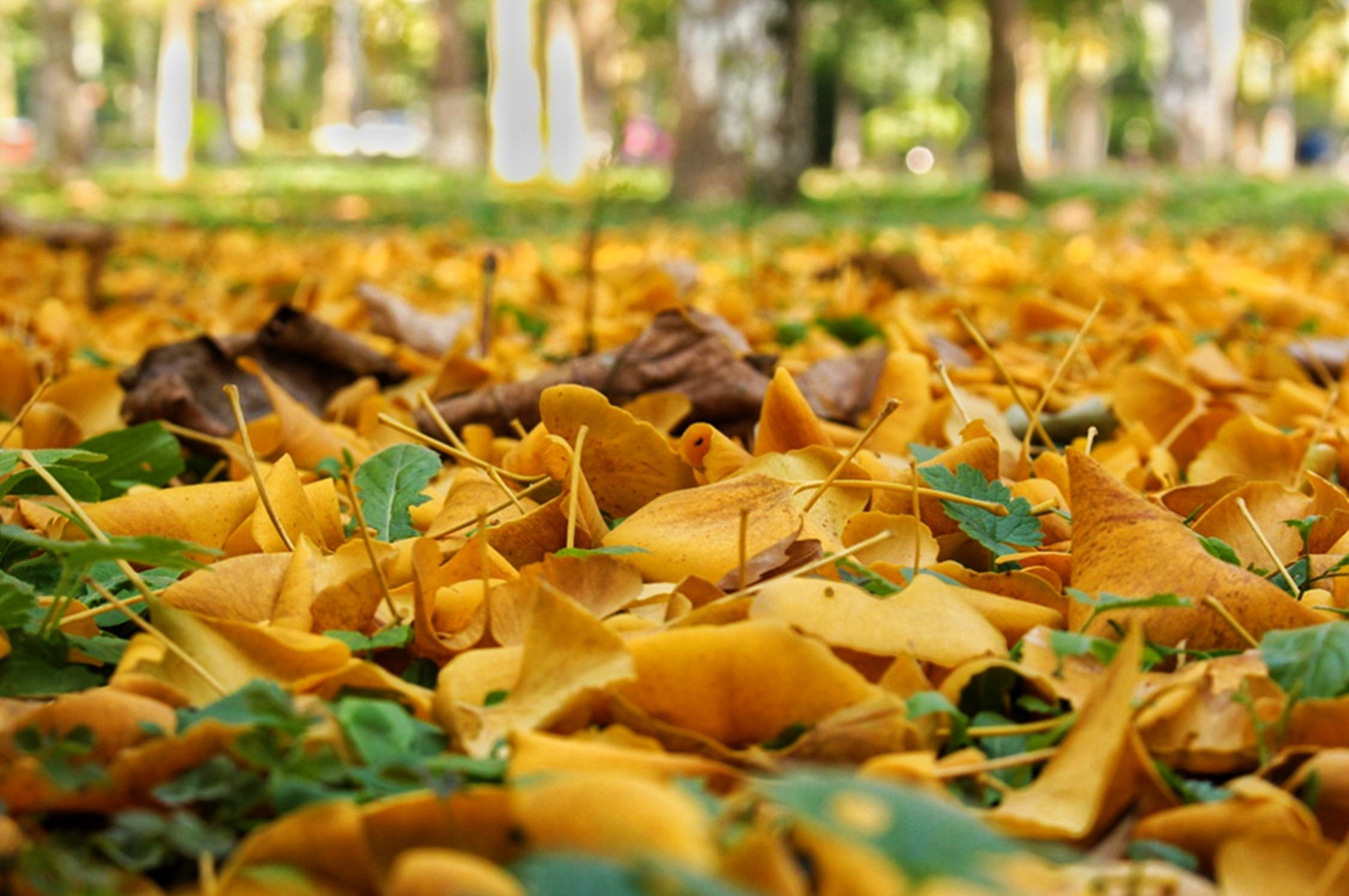 suncitygroup太阳集团