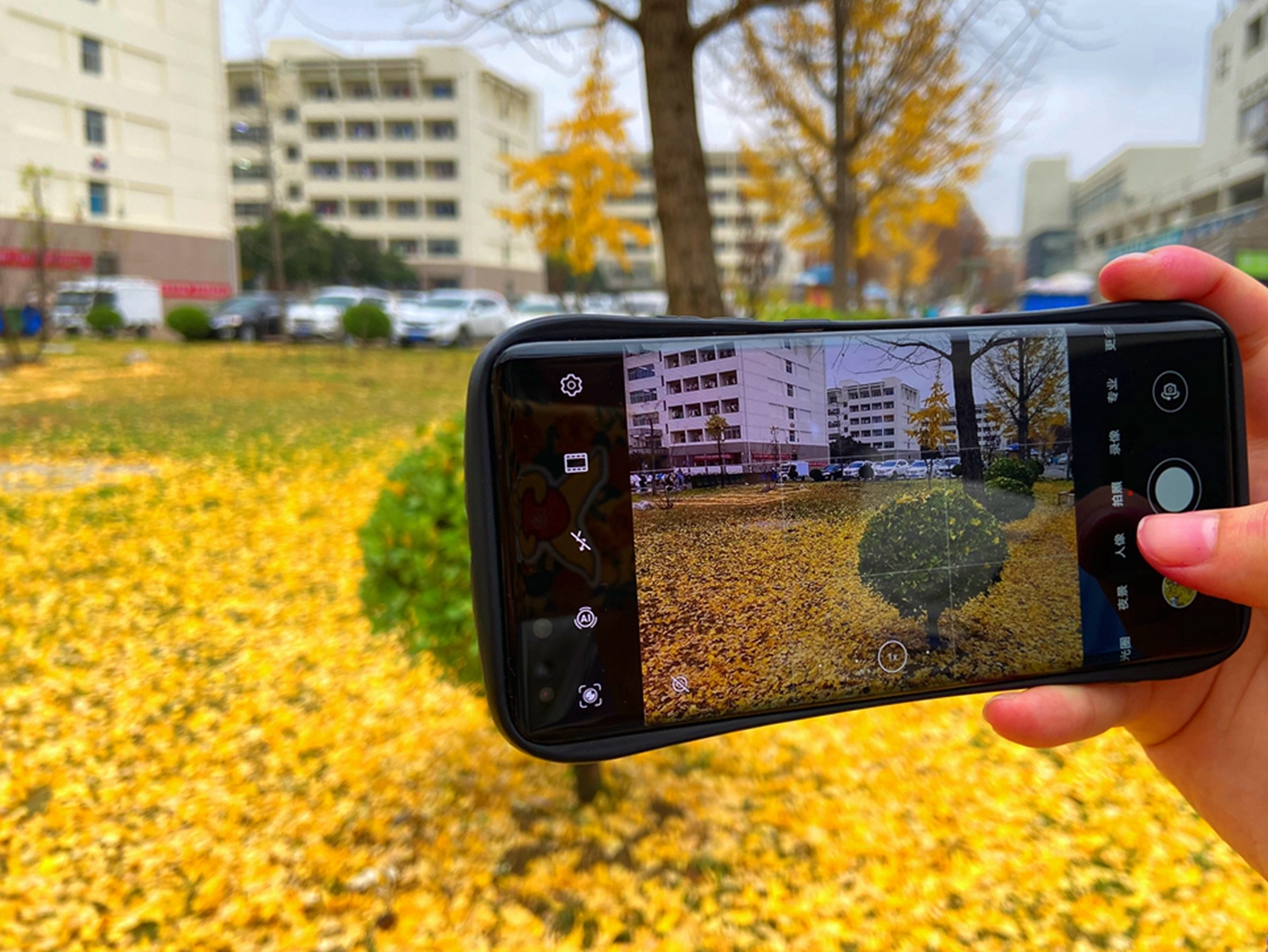 suncitygroup太阳集团