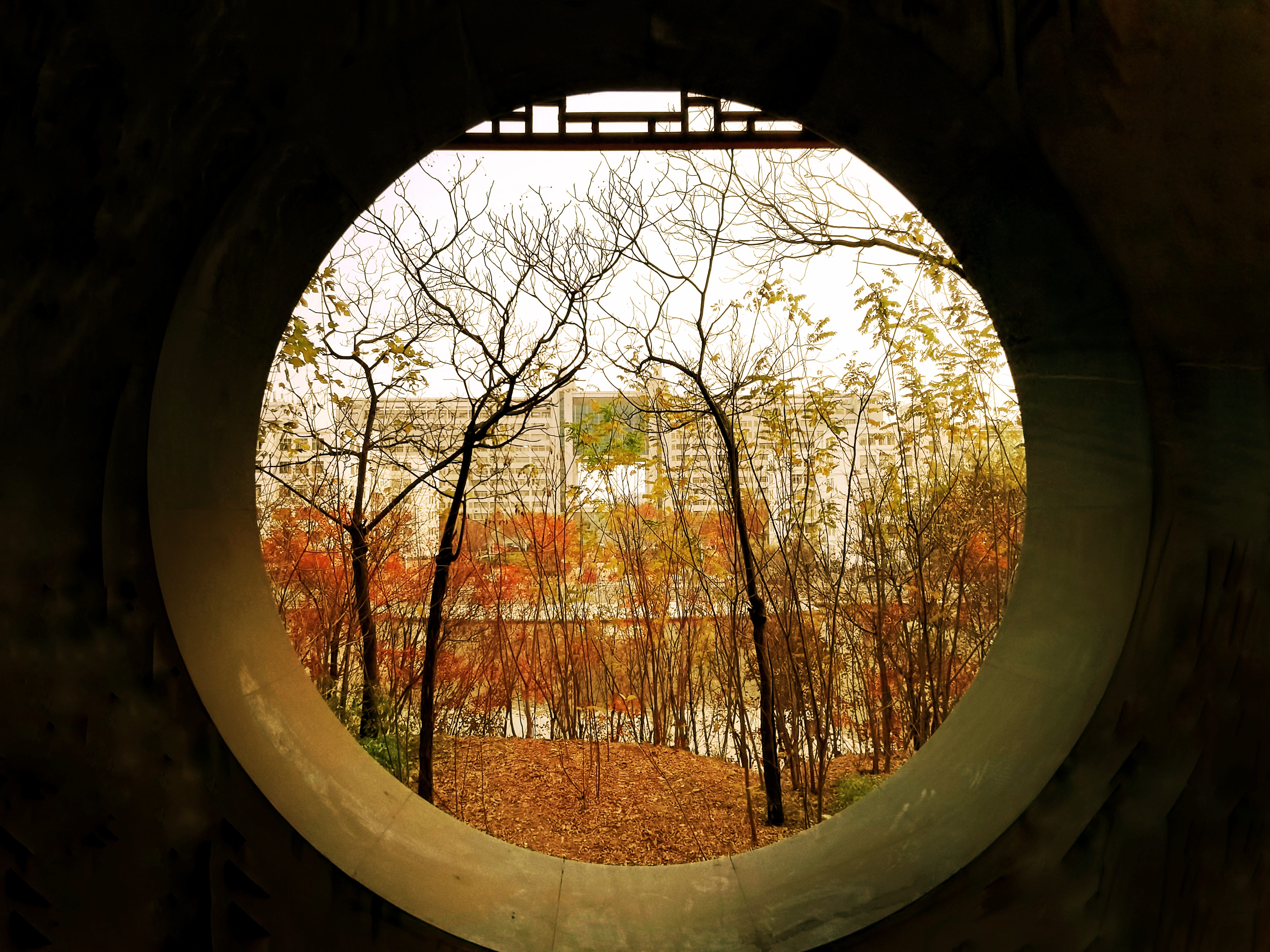 suncitygroup太阳集团