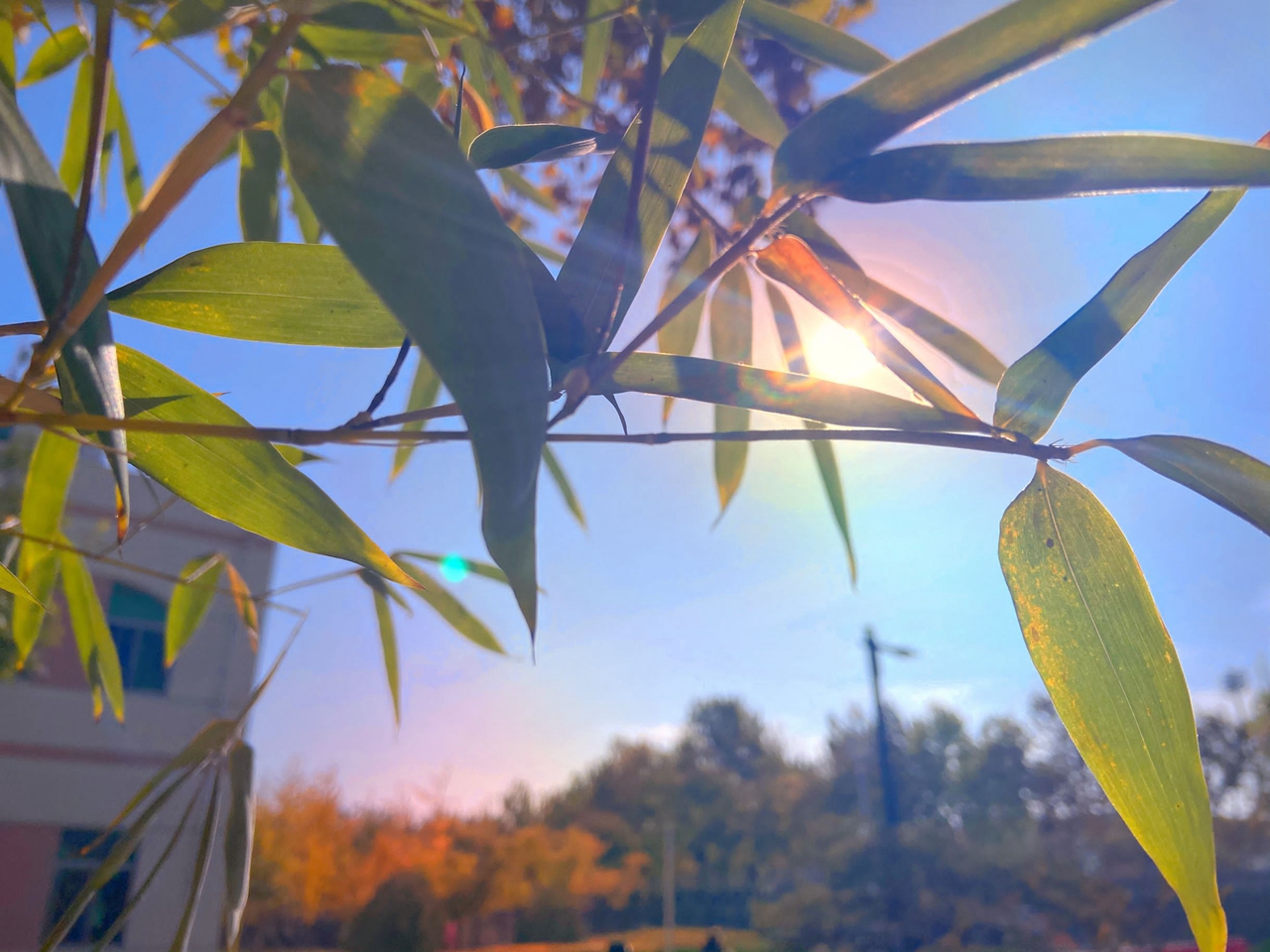 suncitygroup太阳集团