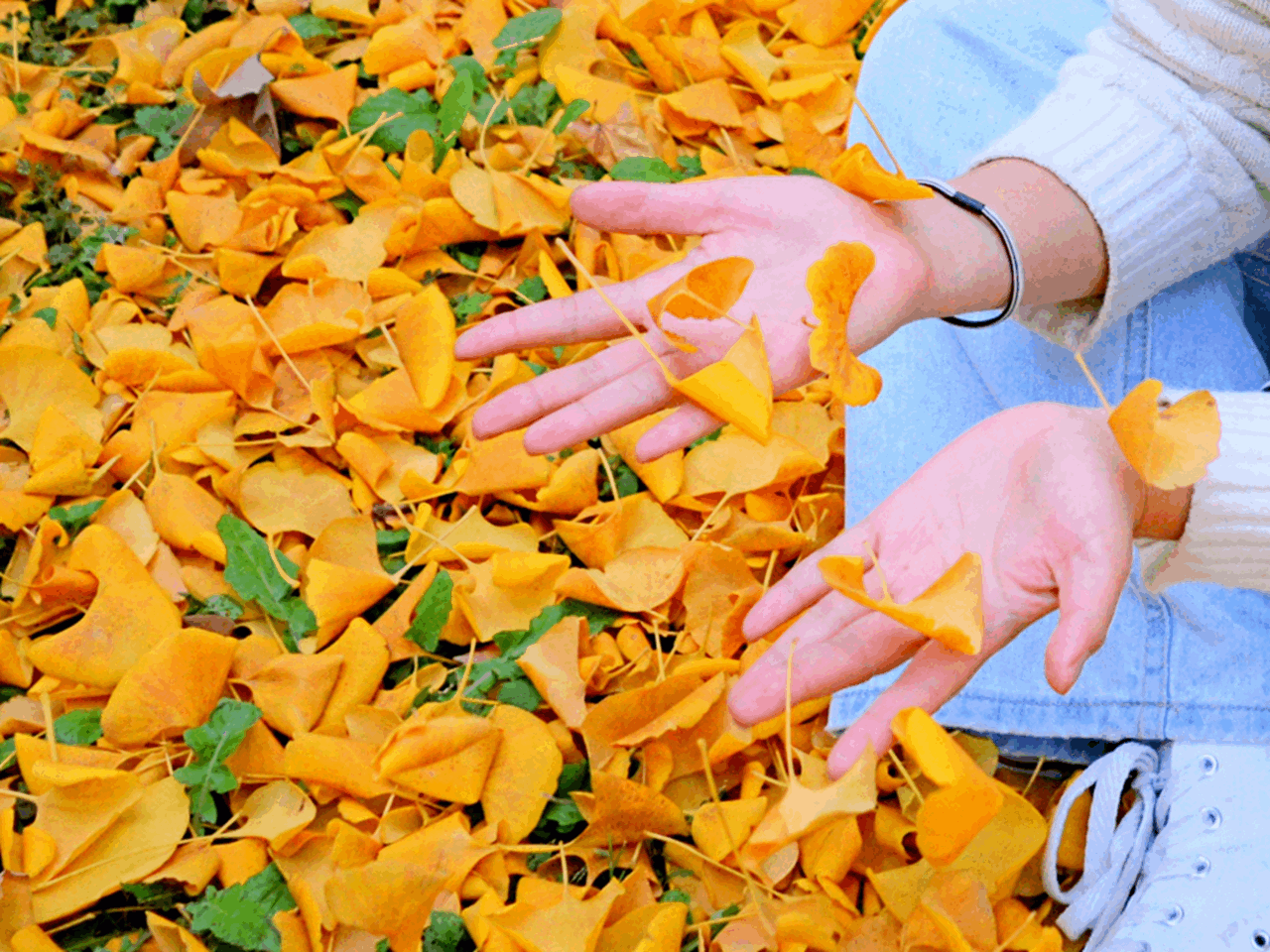 suncitygroup太阳集团