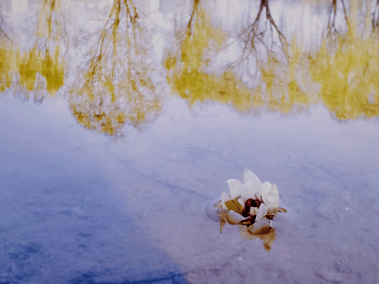 suncitygroup太阳集团