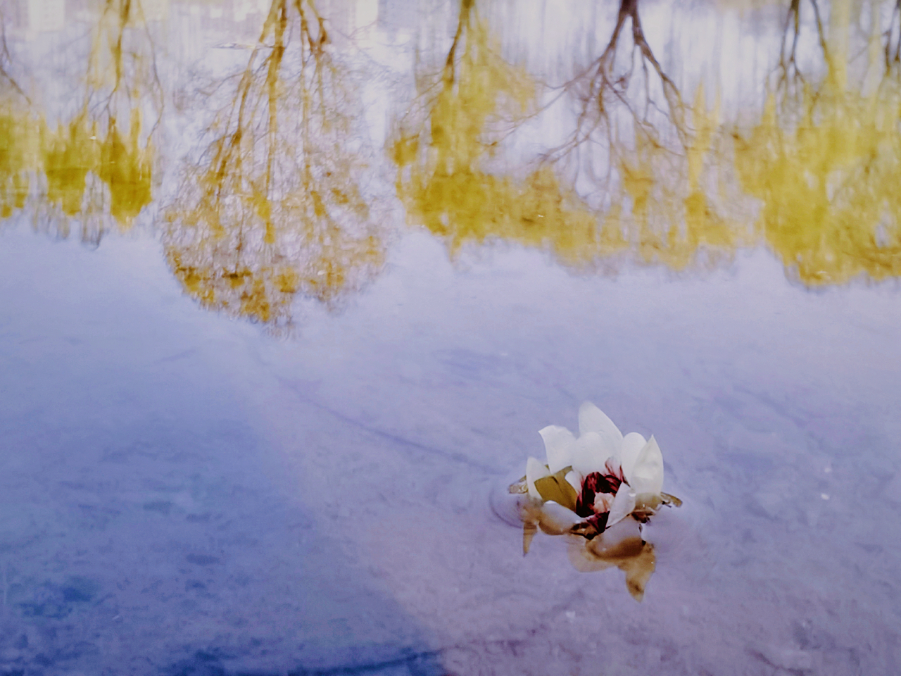 suncitygroup太阳集团