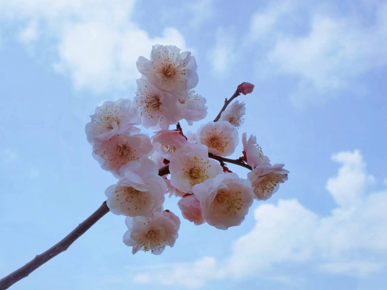 suncitygroup太阳集团