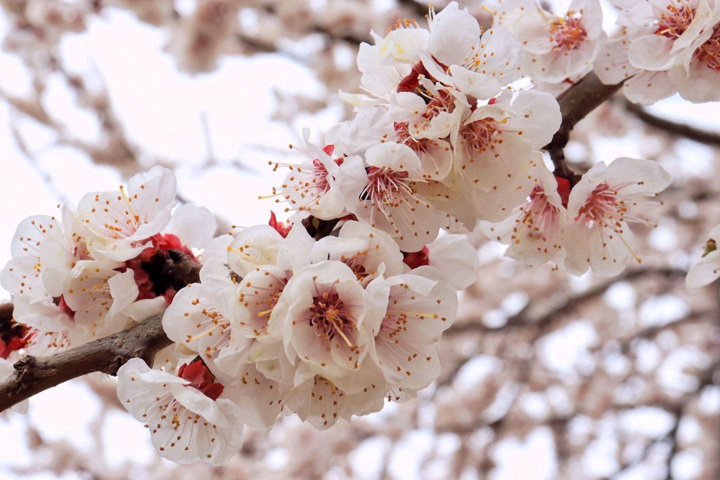 suncitygroup太阳集团