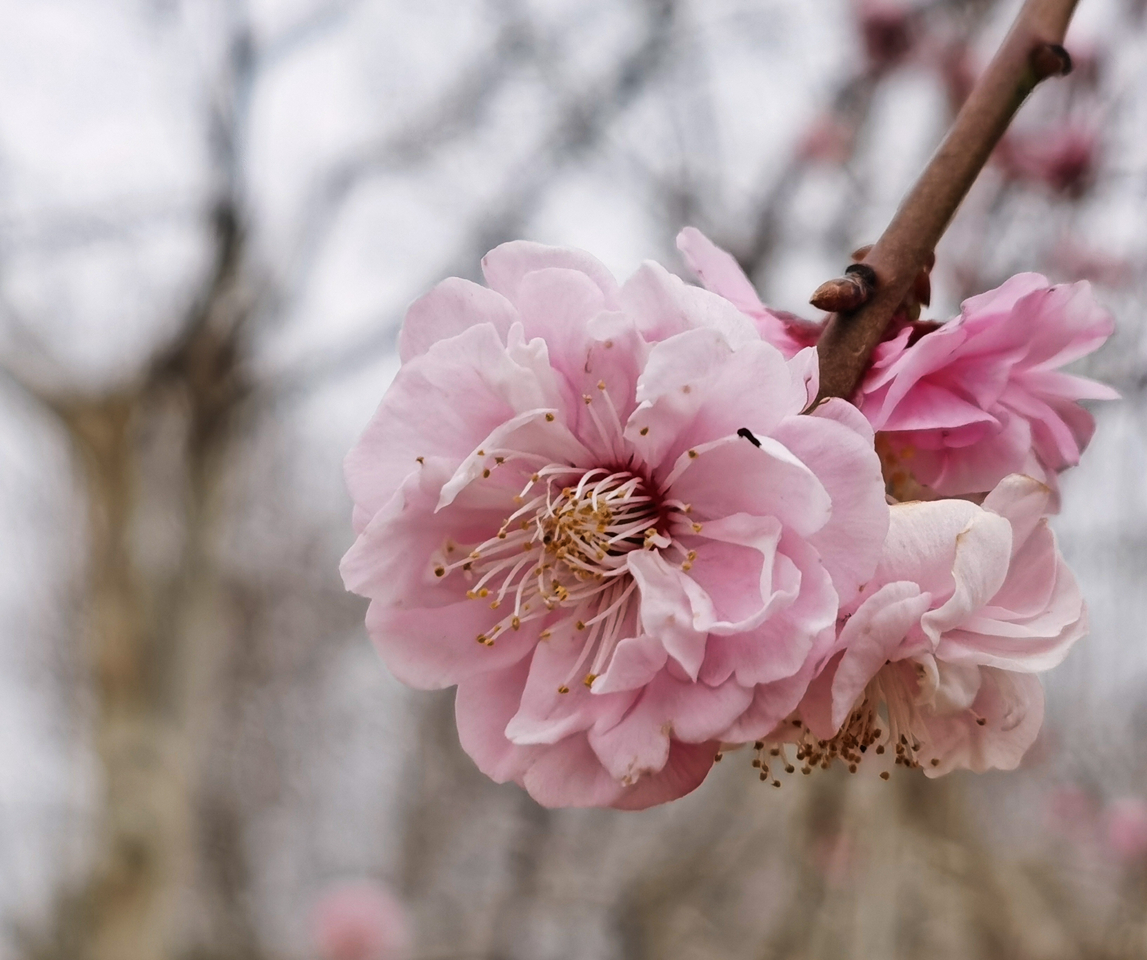 suncitygroup太阳集团