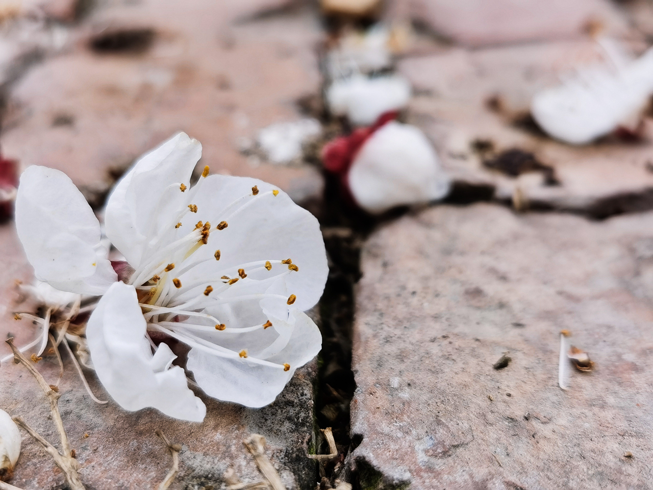 suncitygroup太阳集团