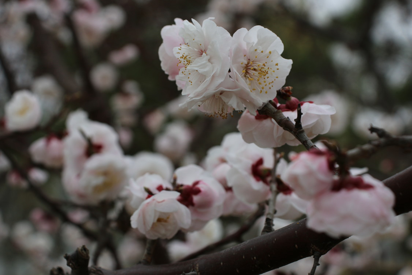 suncitygroup太阳集团