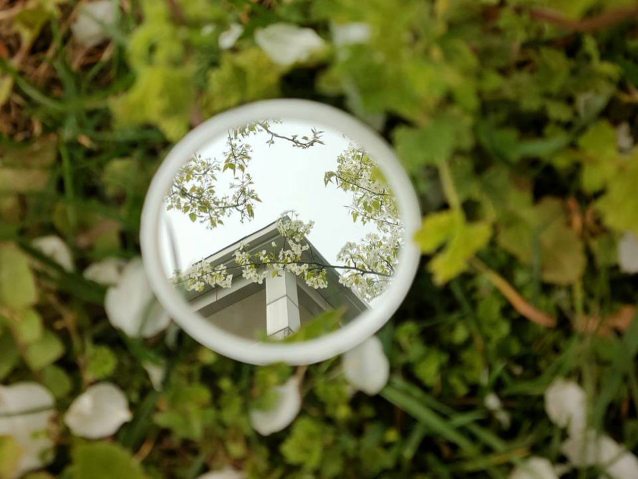 suncitygroup太阳集团