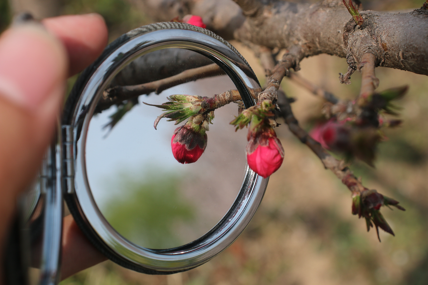 suncitygroup太阳集团