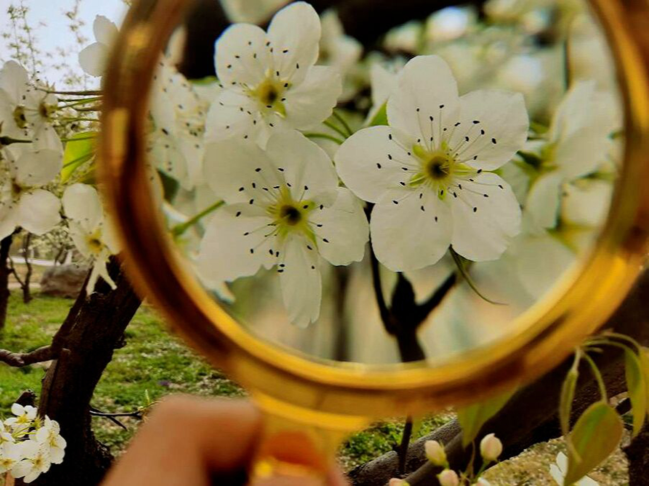 suncitygroup太阳集团