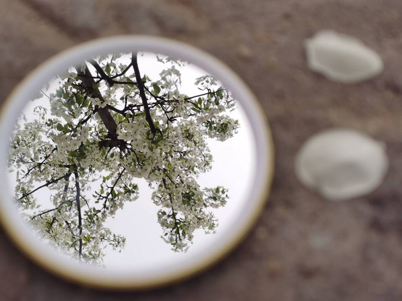 suncitygroup太阳集团