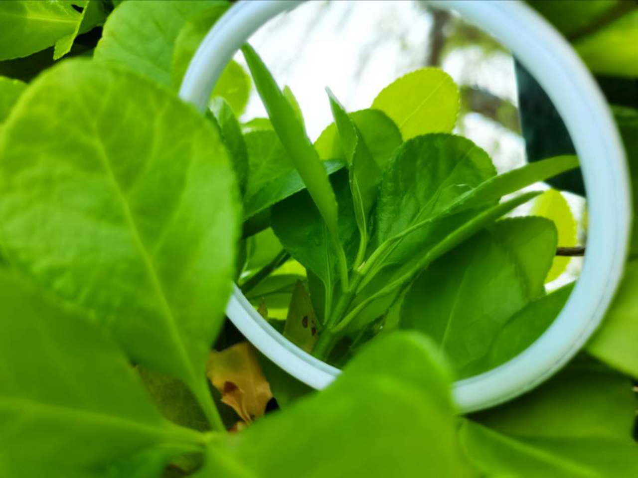 suncitygroup太阳集团