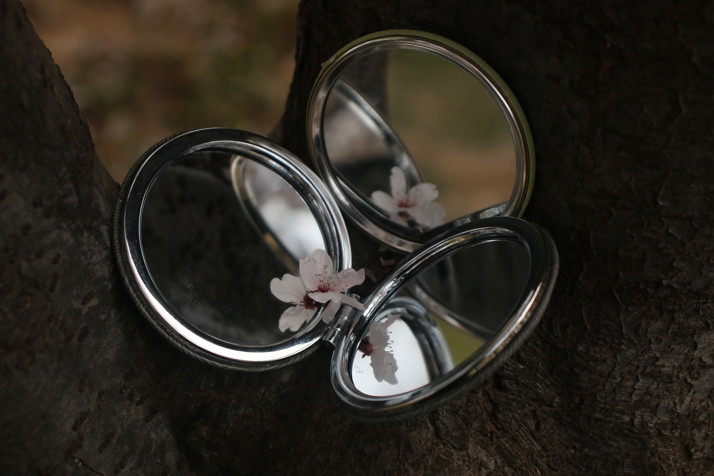 suncitygroup太阳集团