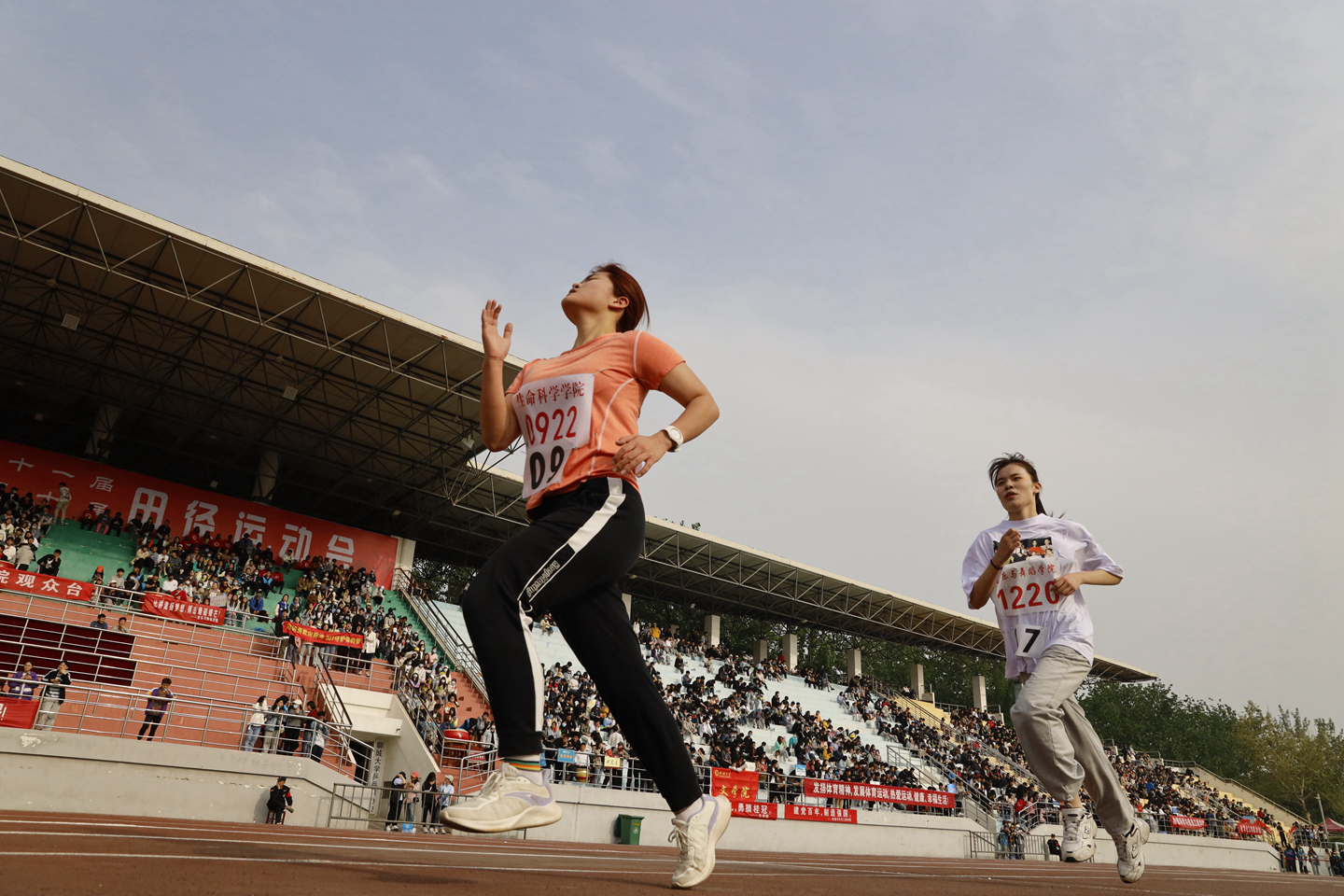 suncitygroup太阳集团