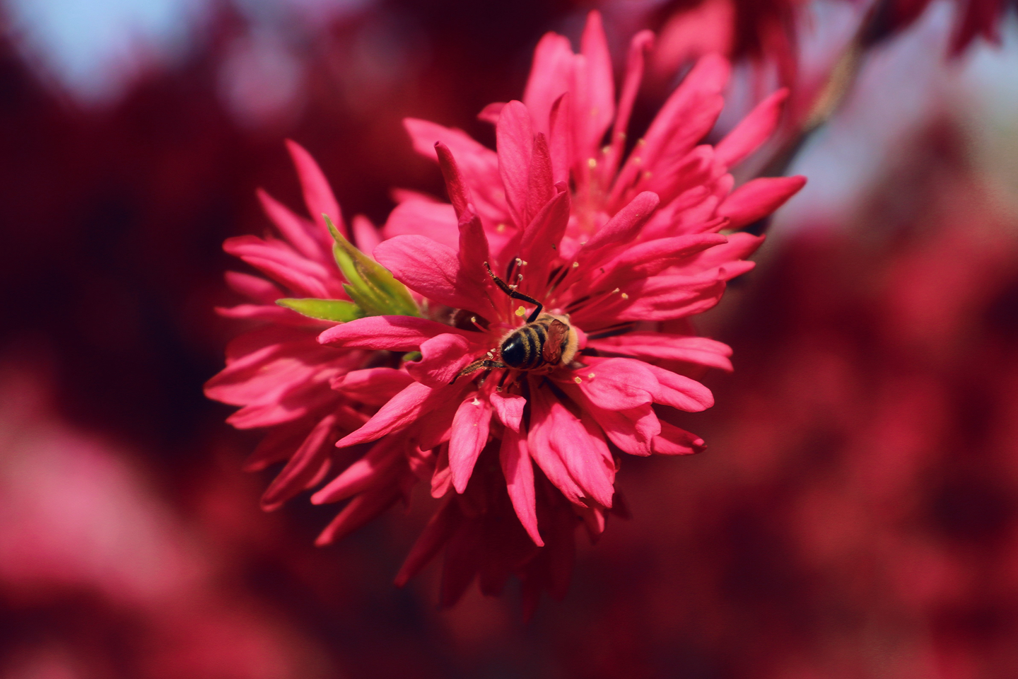 suncitygroup太阳集团