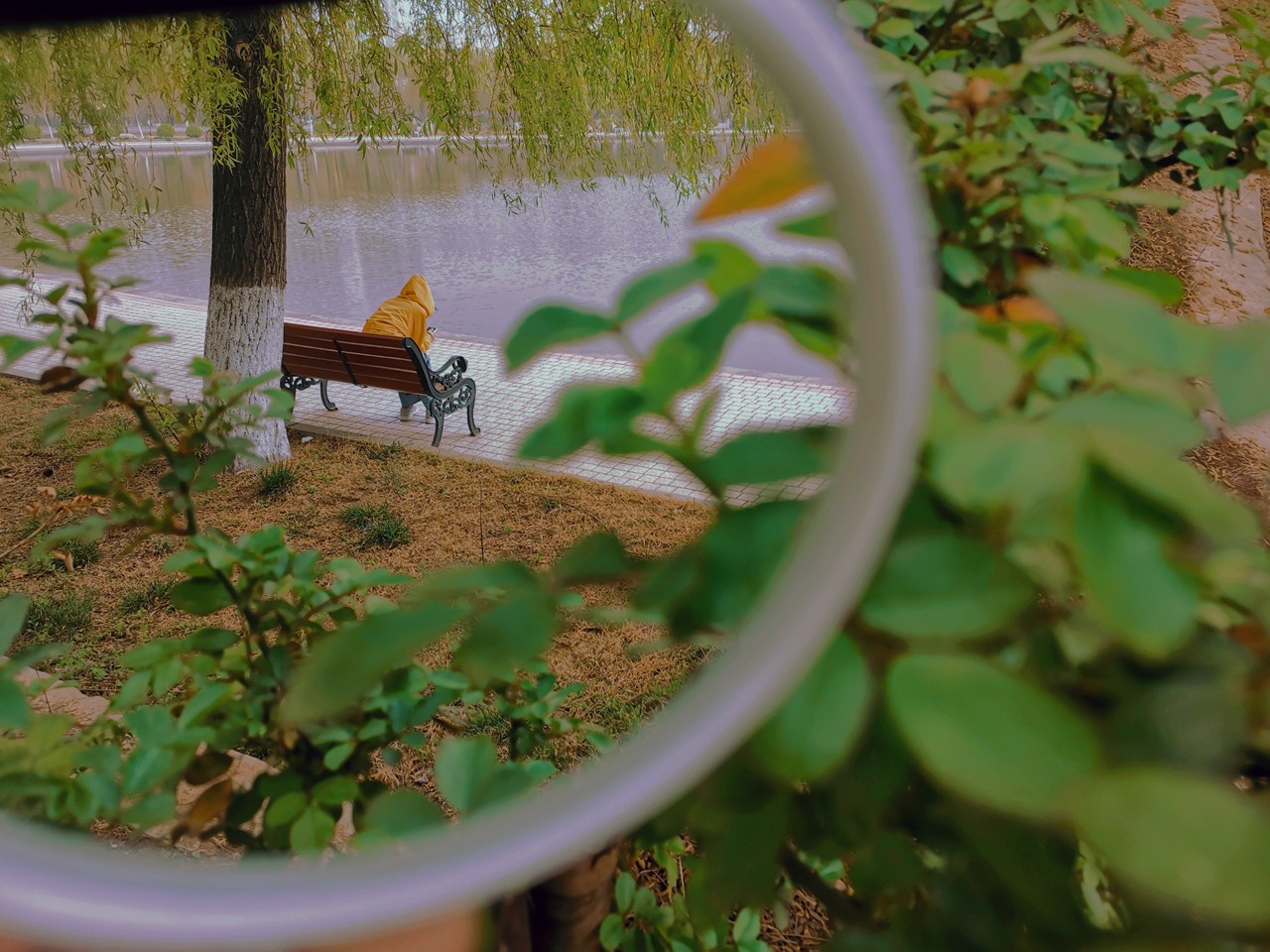 suncitygroup太阳集团