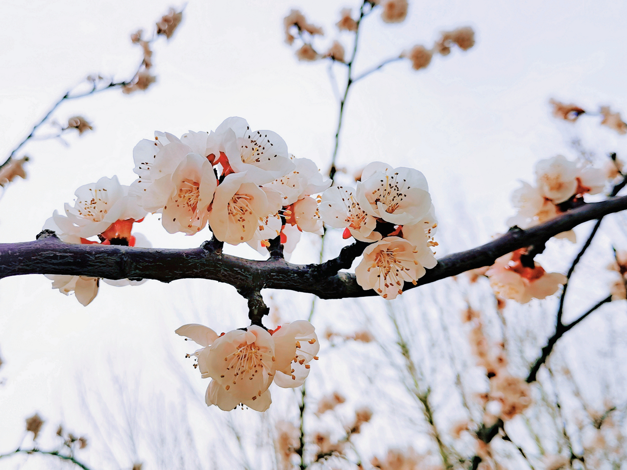 suncitygroup太阳集团