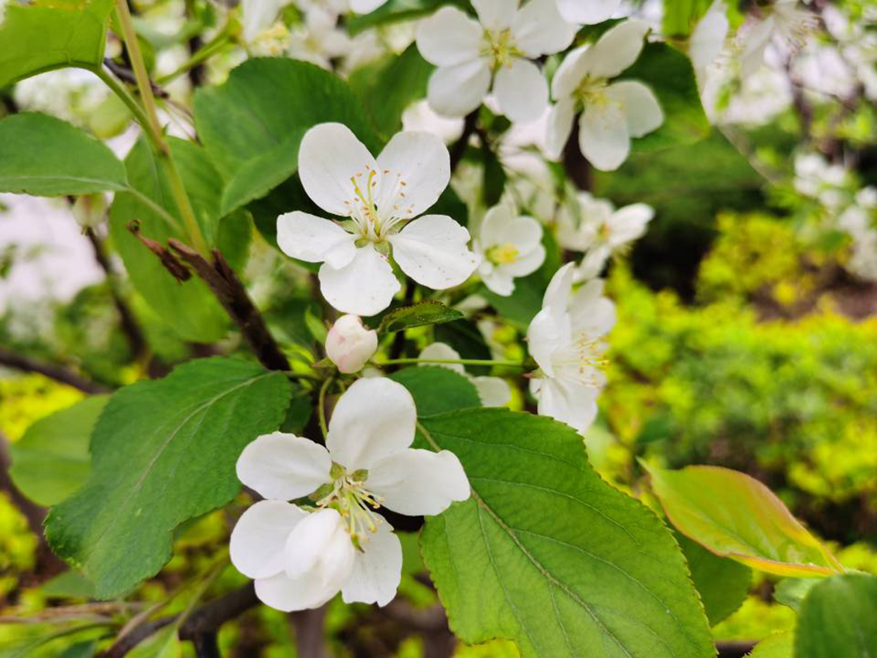 suncitygroup太阳集团