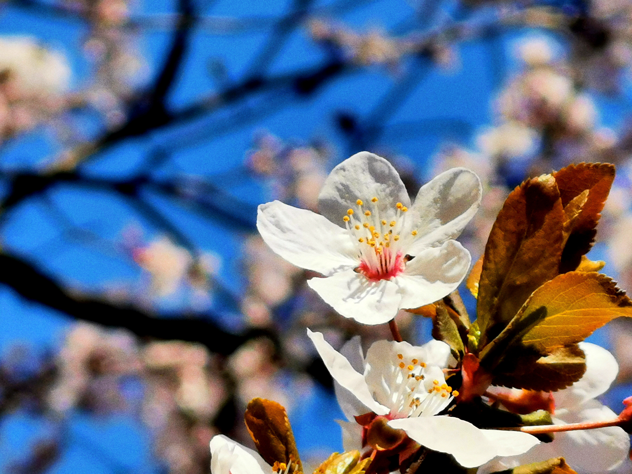 suncitygroup太阳集团