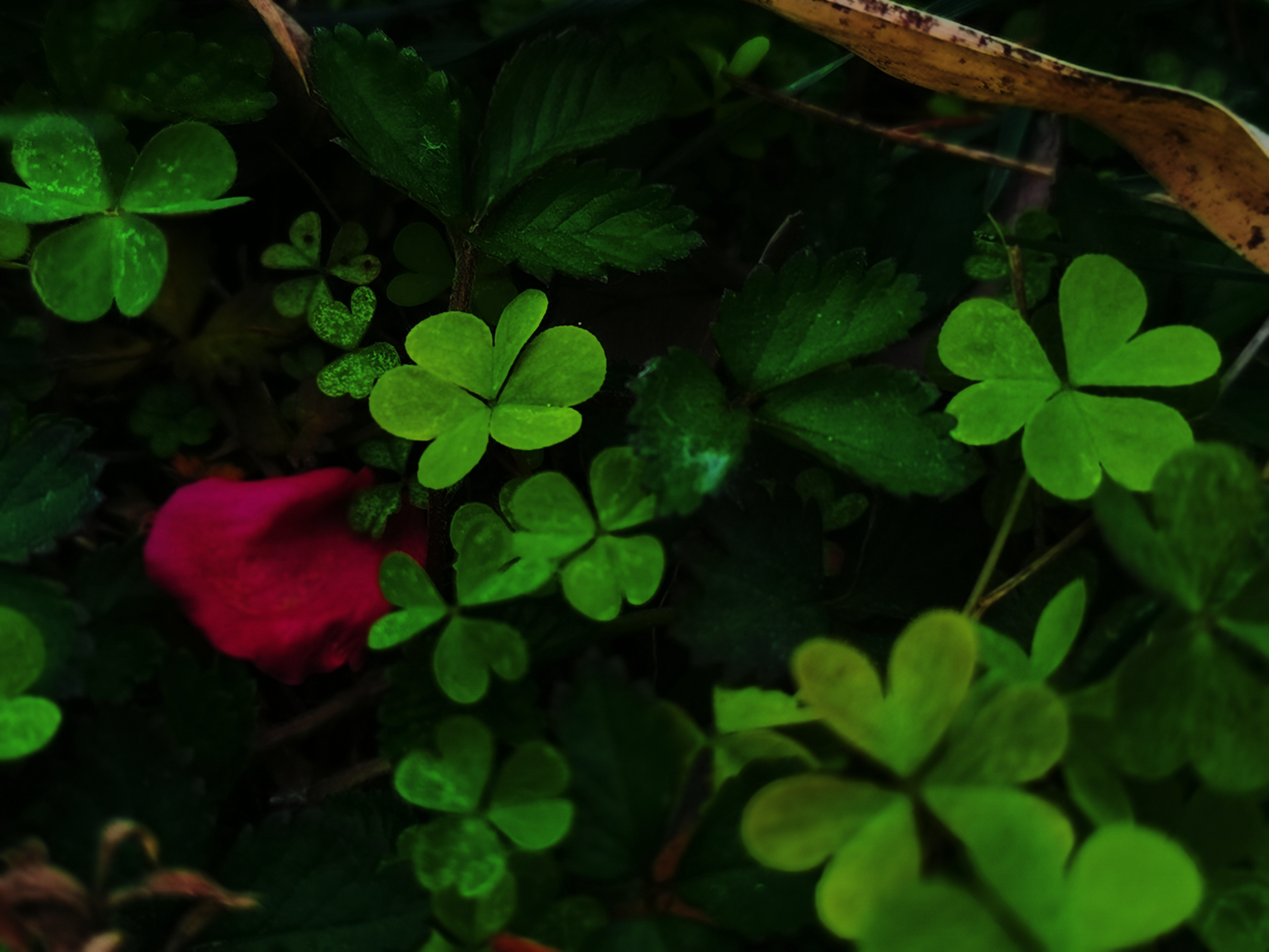 suncitygroup太阳集团