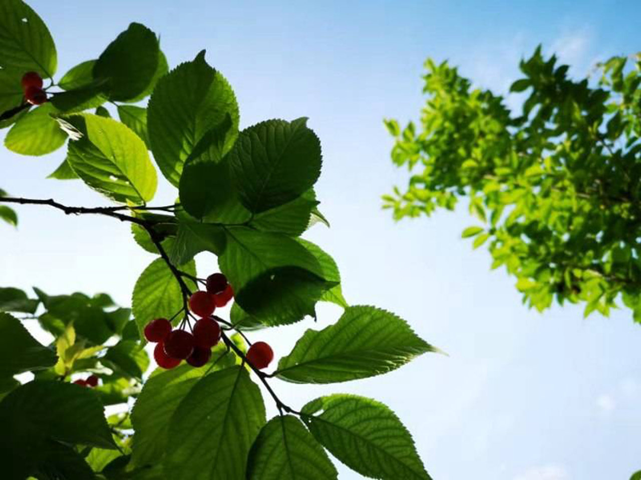 suncitygroup太阳集团